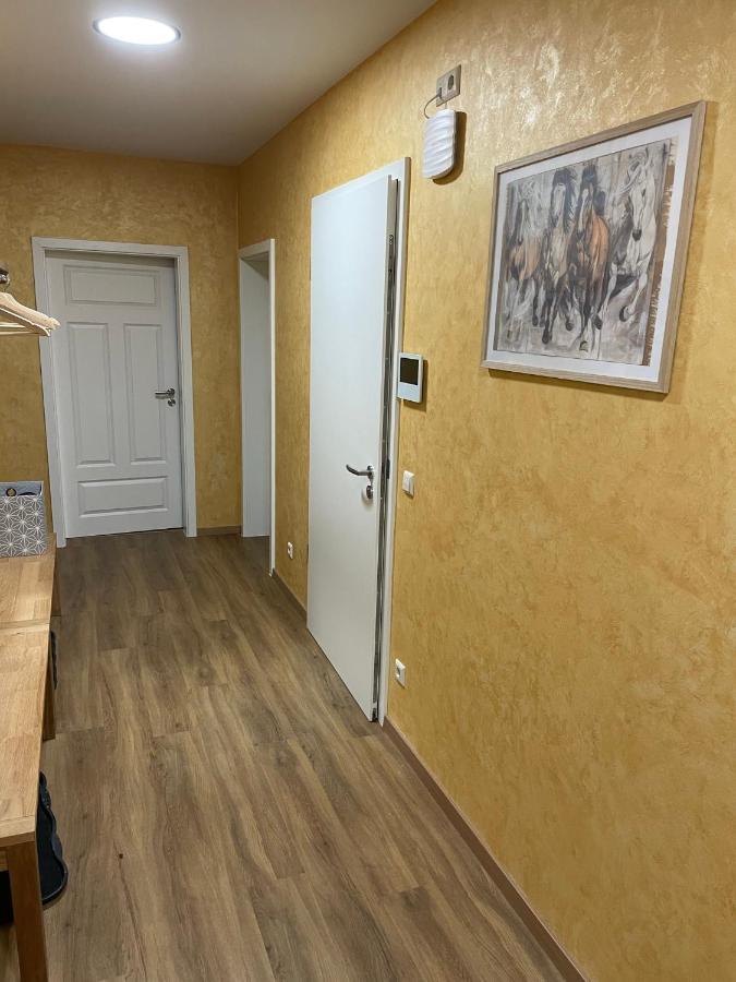Apartment-Haus Landeskrone ドレスデン エクステリア 写真