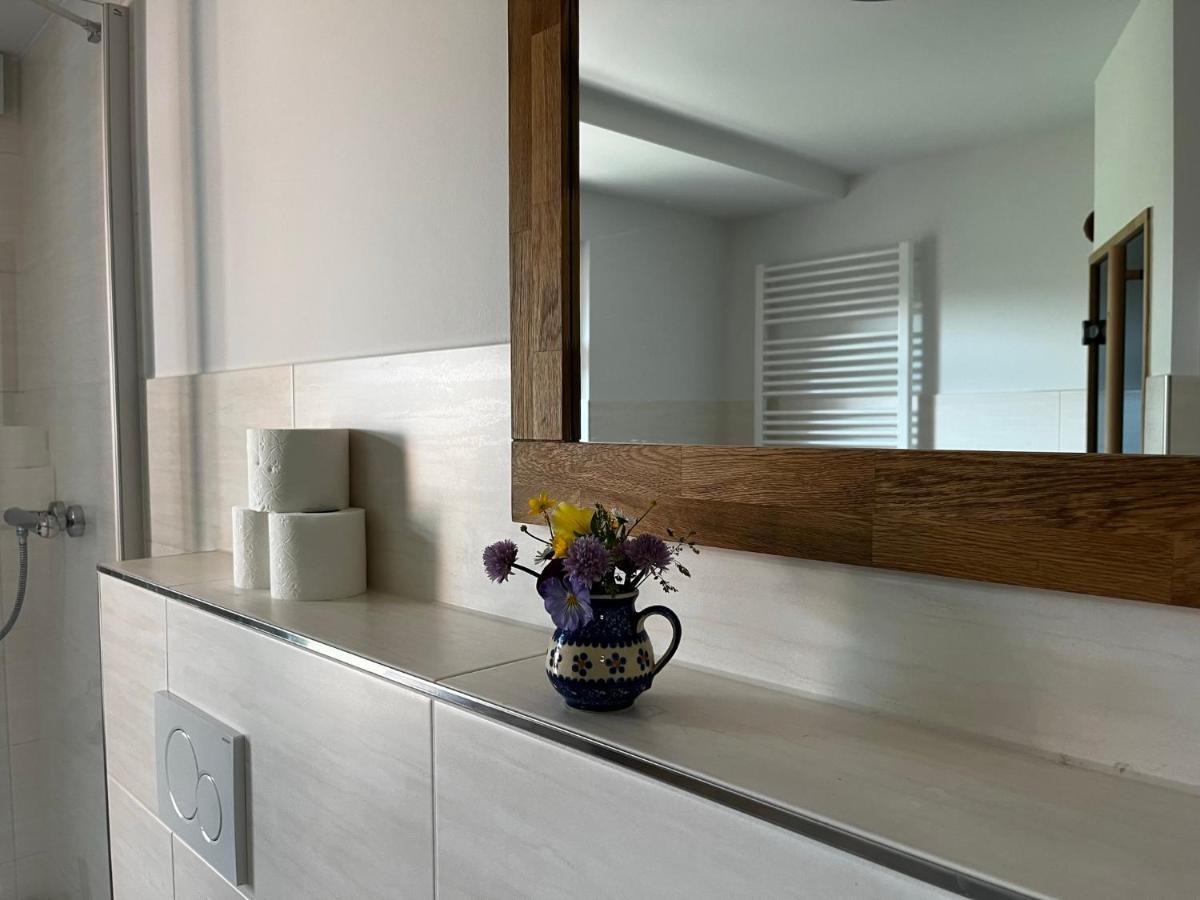 Apartment-Haus Landeskrone ドレスデン エクステリア 写真